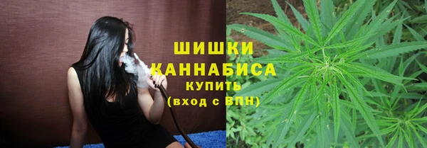 ПСИЛОЦИБИНОВЫЕ ГРИБЫ Балабаново
