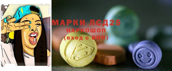 прущие грибы Баксан