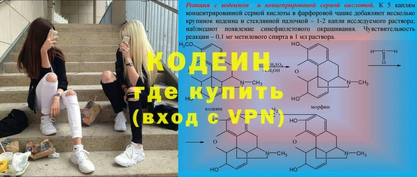 прущие грибы Баксан
