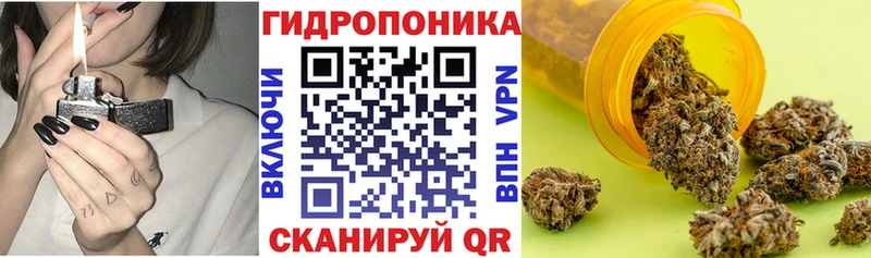 купить наркотики сайты  Мариинский Посад  Конопля AK-47 